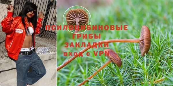 гашик Мегион