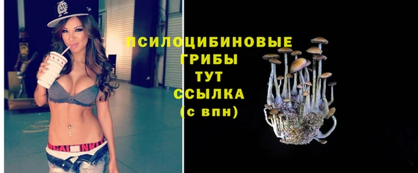 гашик Мегион