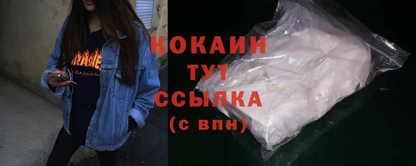 гашик Мегион