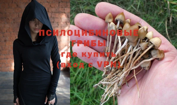 а пвп мука Медногорск