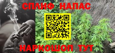 трава Сланцы