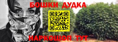 трава Сланцы