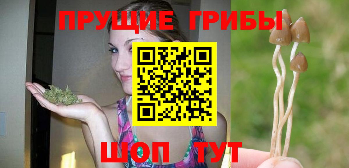 Псилоцибиновые грибы MAGIC MUSHROOMS  Урус-Мартан  Псилоцибиновые грибы MAGIC MUSHROOMS 