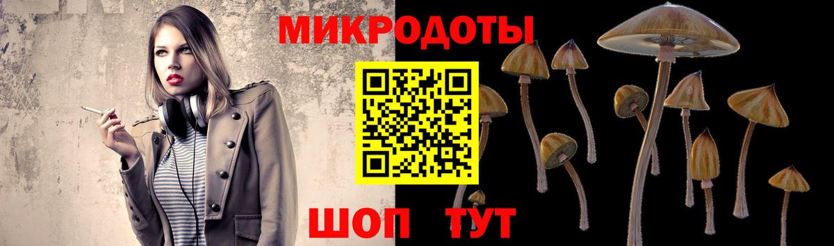 Галлюциногенные грибы Cubensis Урус-Мартан